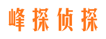 班戈侦探